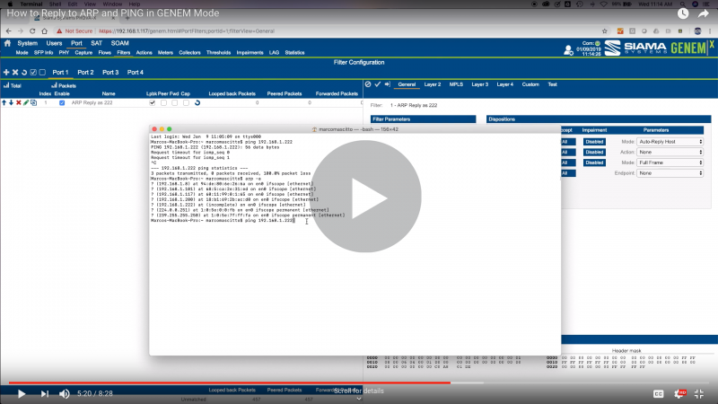 HOW TO - Replying to ARP and PING in GENEM Mode